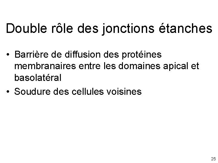Double rôle des jonctions étanches • Barrière de diffusion des protéines membranaires entre les Double rôle des jonctions étanches • Barrière de diffusion des protéines membranaires entre les