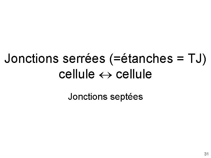 Jonctions serrées (=étanches = TJ) cellule Jonctions septées 31 Jonctions serrées (=étanches = TJ) cellule Jonctions septées 31