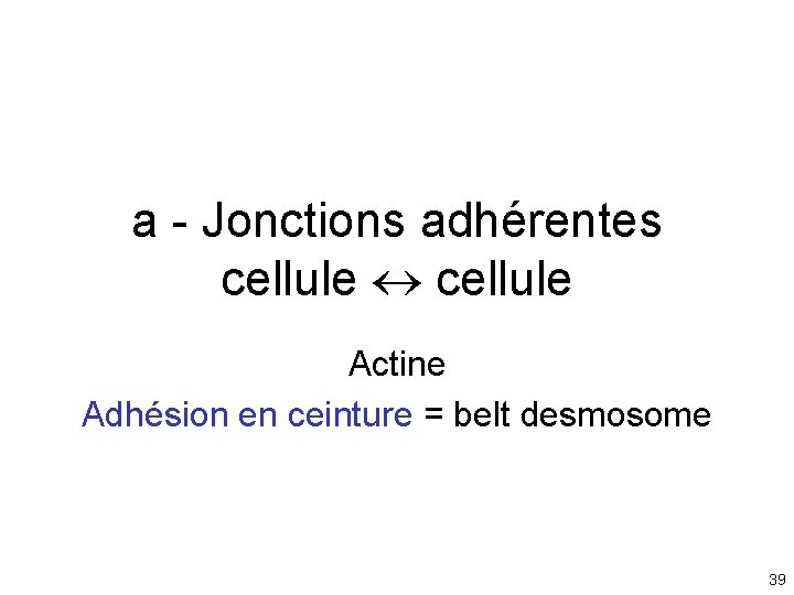 a - Jonctions adhérentes cellule Actine Adhésion en ceinture = belt desmosome 39 a - Jonctions adhérentes cellule Actine Adhésion en ceinture = belt desmosome 39