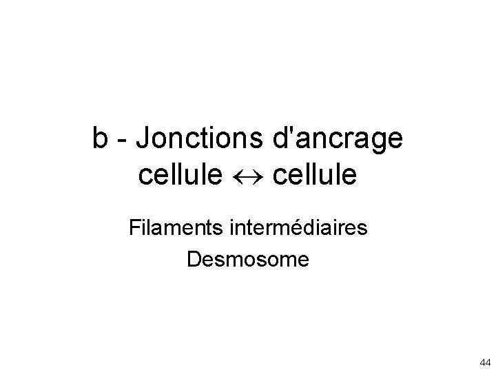 b - Jonctions d'ancrage cellule Filaments intermédiaires Desmosome 44 b - Jonctions d'ancrage cellule Filaments intermédiaires Desmosome 44