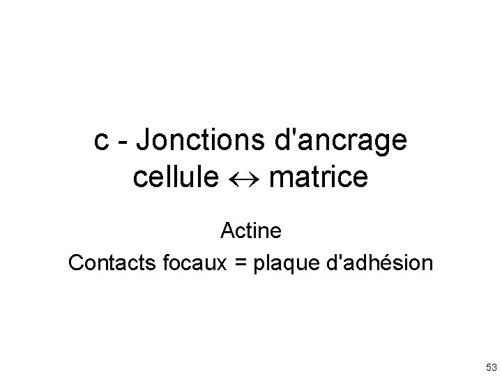 c - Jonctions d'ancrage cellule matrice Actine Contacts focaux = plaque d'adhésion 53 c - Jonctions d'ancrage cellule matrice Actine Contacts focaux = plaque d'adhésion 53