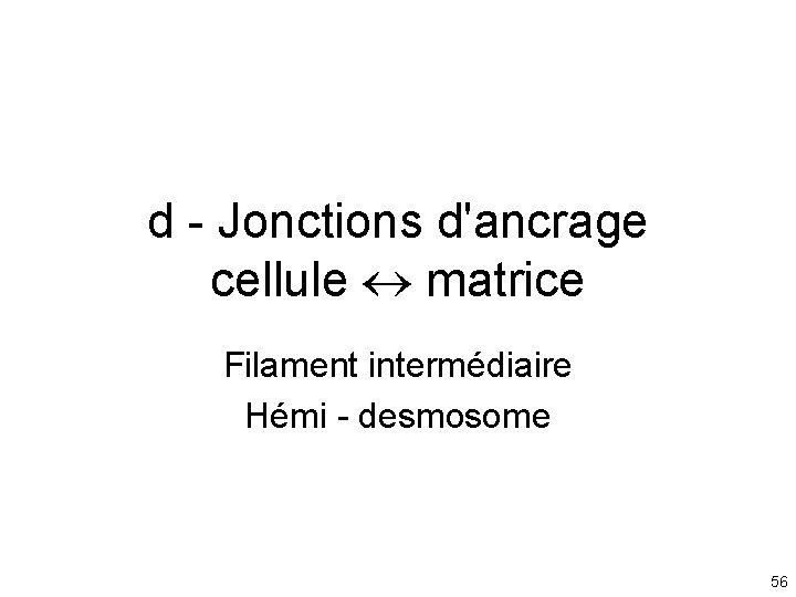 d - Jonctions d'ancrage cellule matrice Filament intermédiaire Hémi - desmosome 56 d - Jonctions d'ancrage cellule matrice Filament intermédiaire Hémi - desmosome 56