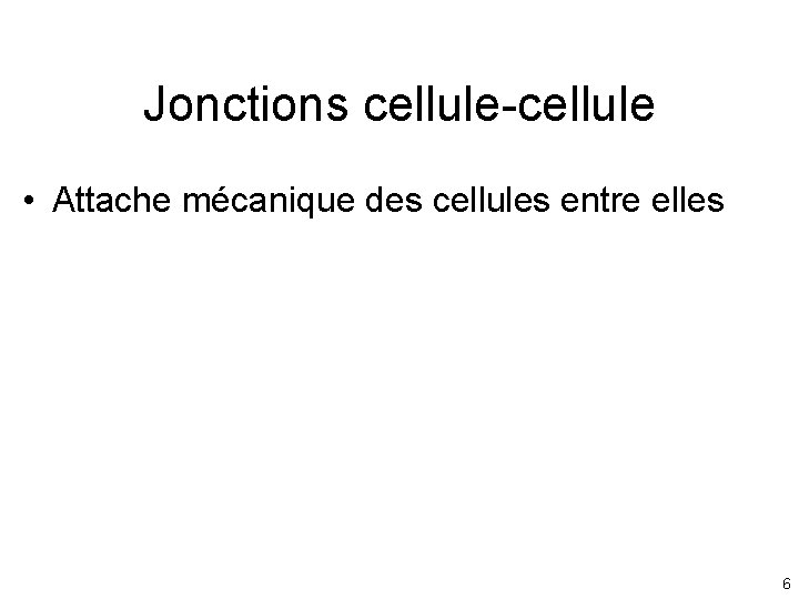 Jonctions cellule-cellule • Attache mécanique des cellules entre elles 6 Jonctions cellule-cellule • Attache mécanique des cellules entre elles 6