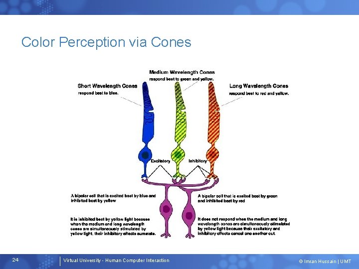 Color Perception via Cones 24 Virtual University - Human Computer Interaction © Imran Hussain