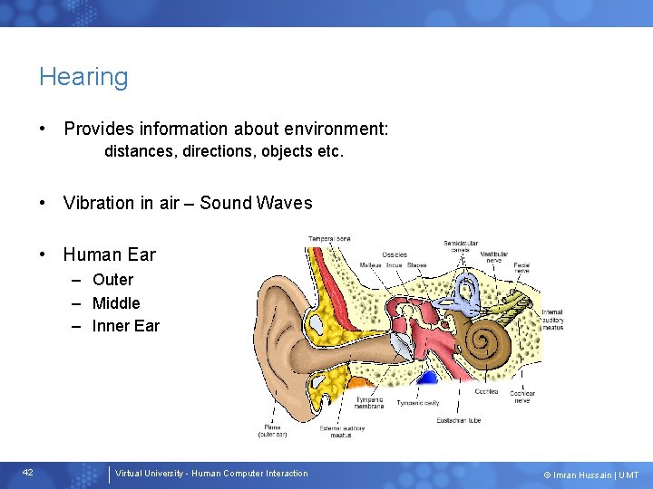 Hearing • Provides information about environment: distances, directions, objects etc. • Vibration in air