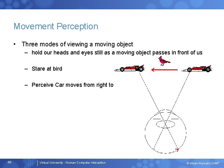 Movement Perception • Three modes of viewing a moving object – hold our heads