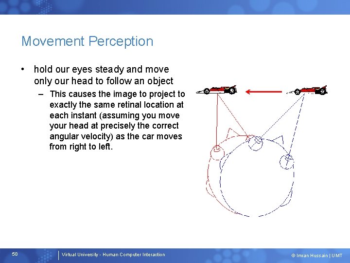 Movement Perception • hold our eyes steady and move only our head to follow