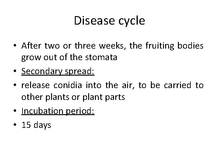 Disease cycle • After two or three weeks, the fruiting bodies grow out of