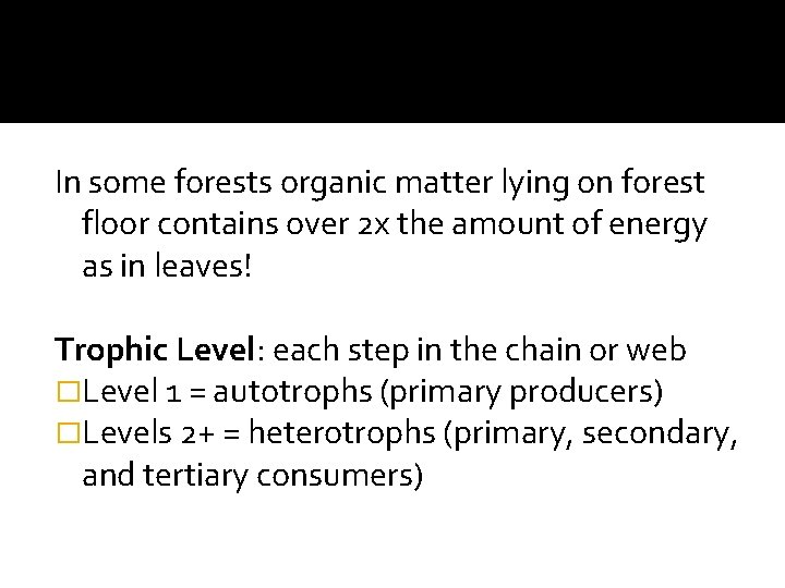 In some forests organic matter lying on forest floor contains over 2 x the
