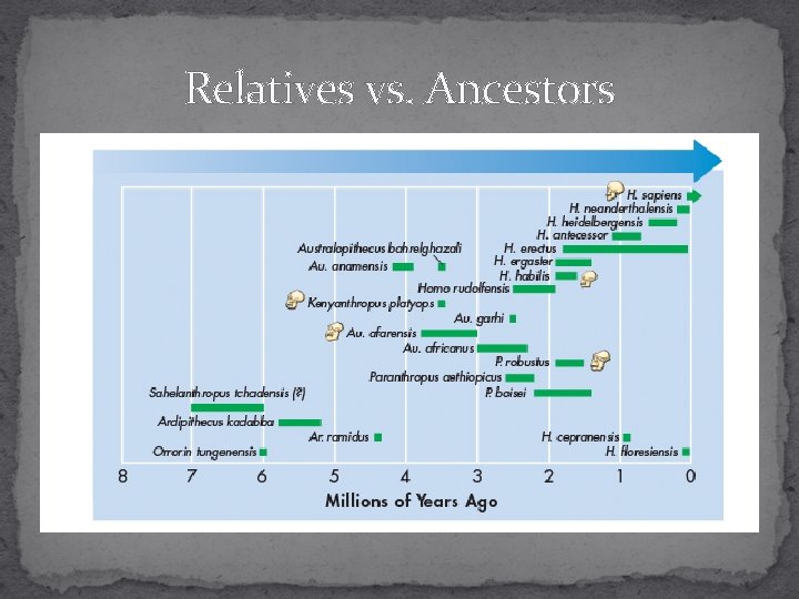 Relatives vs. Ancestors 