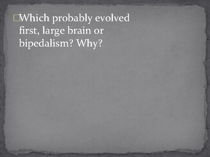 �Which probably evolved first, large brain or bipedalism? Why? 