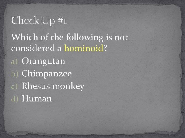 Check Up #1 Which of the following is not considered a hominoid? a) Orangutan