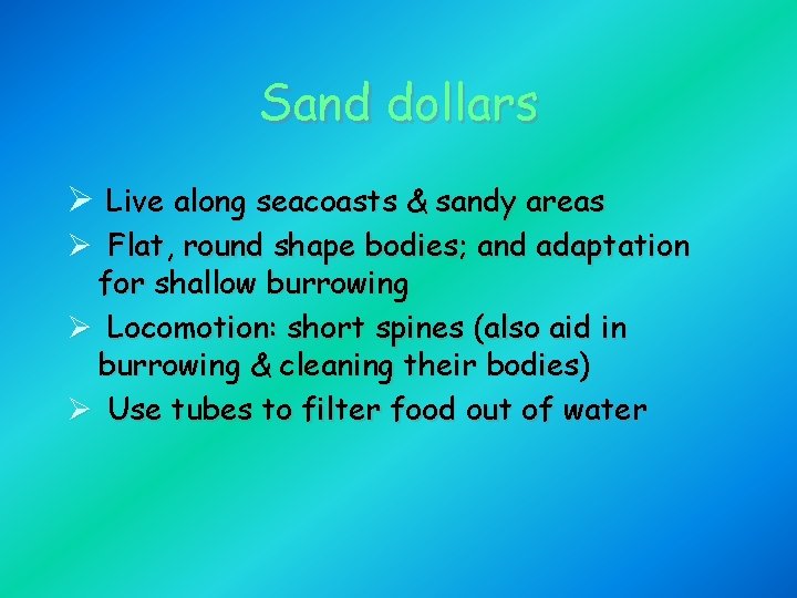 Sand dollars Ø Live along seacoasts & sandy areas Ø Flat, round shape bodies;