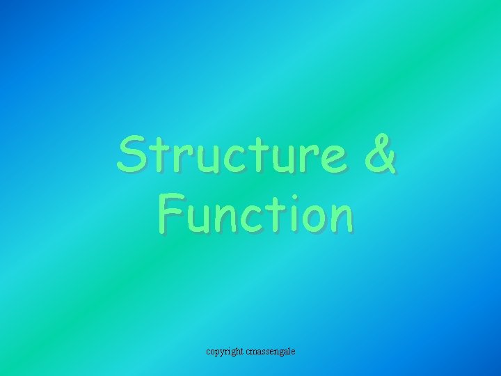 Structure & Function copyright cmassengale 