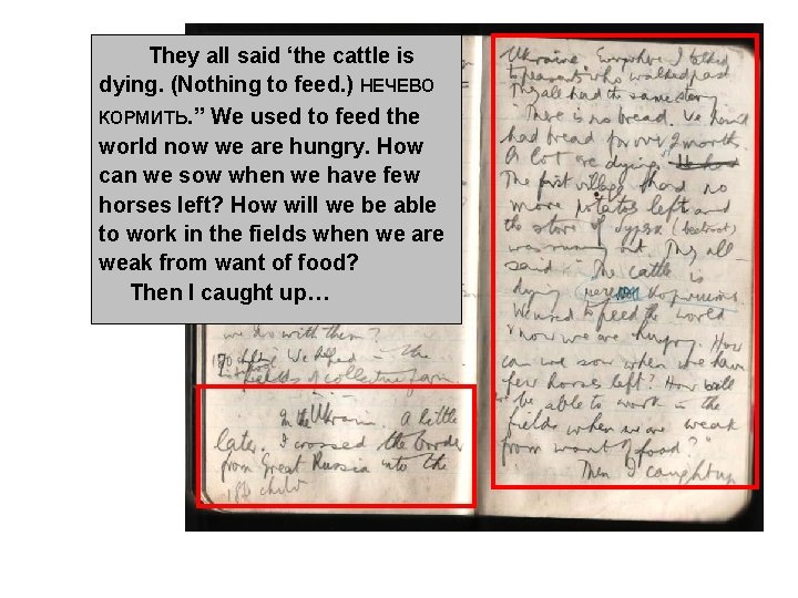 They all said ‘the cattle is dying. (Nothing to feed. ) НЕЧЕВО КОРМить. ” They all said ‘the cattle is dying. (Nothing to feed. ) НЕЧЕВО КОРМить. ”