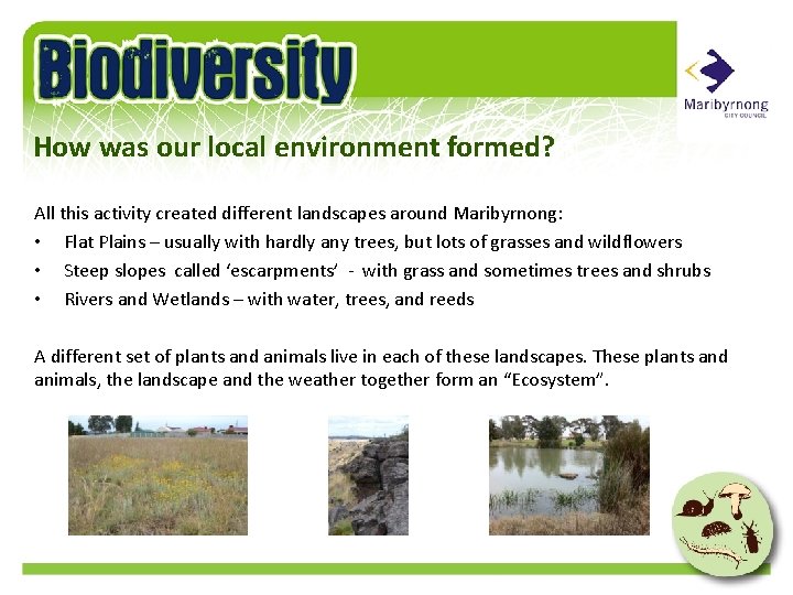 How was our local environment formed? All this activity created different landscapes around Maribyrnong: