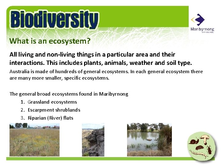 What is an ecosystem? All living and non-living things in a particular area and