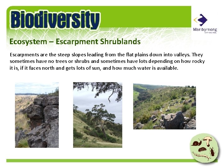 Ecosystem – Escarpment Shrublands Escarpments are the steep slopes leading from the flat plains
