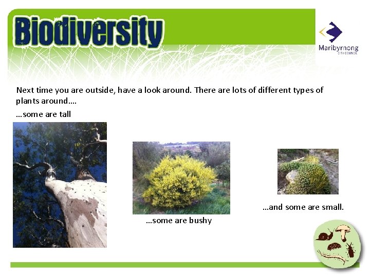 Next time you are outside, have a look around. There are lots of different
