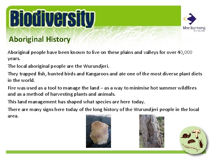 Aboriginal History Aboriginal people have been known to live on these plains and valleys