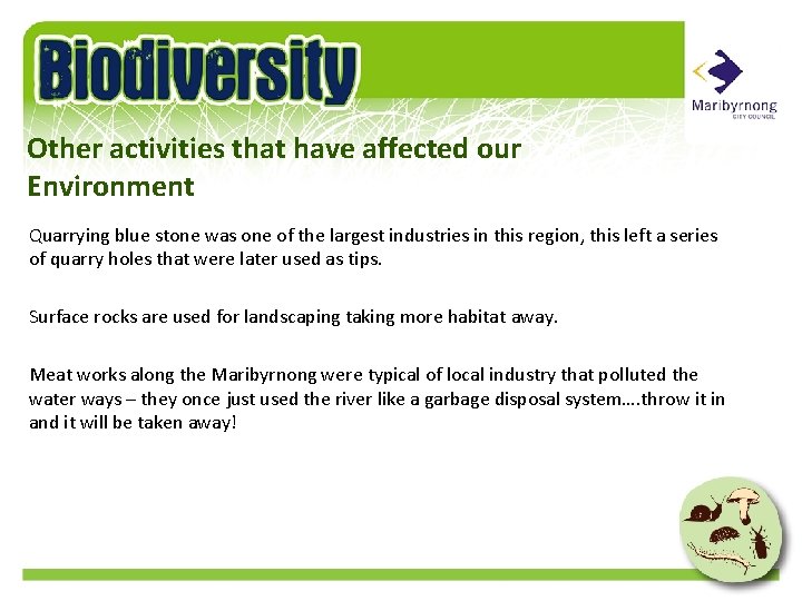 Other activities that have affected our Environment Quarrying blue stone was one of the