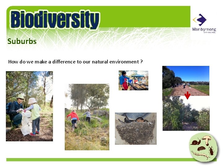 Suburbs How do we make a difference to our natural environment ? 