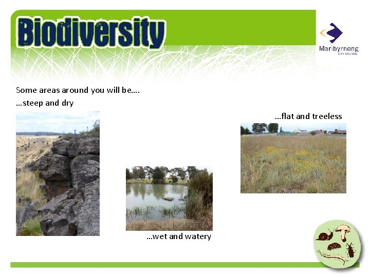 Some areas around you will be…. …steep and dry …flat and treeless …wet and