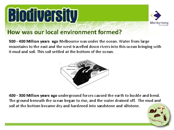 How was our local environment formed? 500 - 400 Million years ago Melbourne was