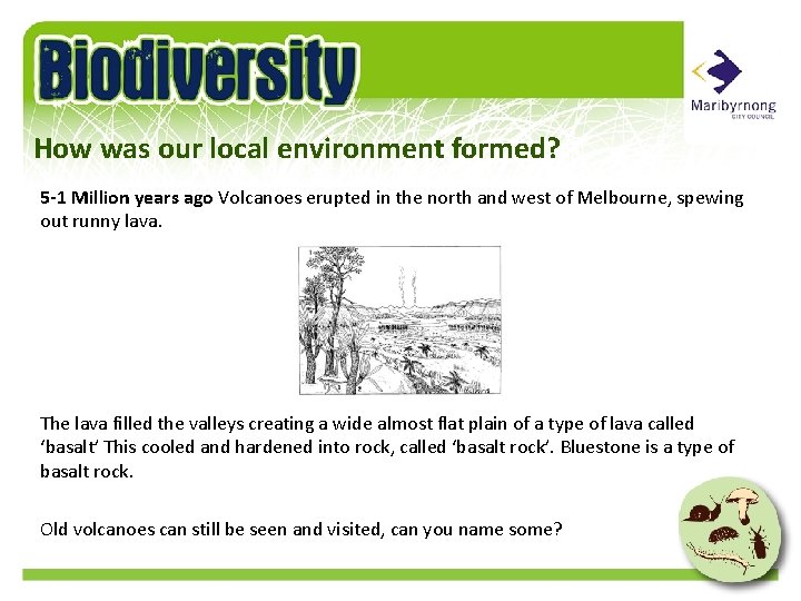 How was our local environment formed? 5 -1 Million years ago Volcanoes erupted in