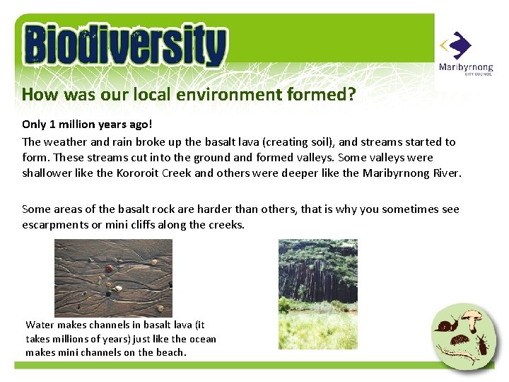 How was our local environment formed? Only 1 million years ago! The weather and