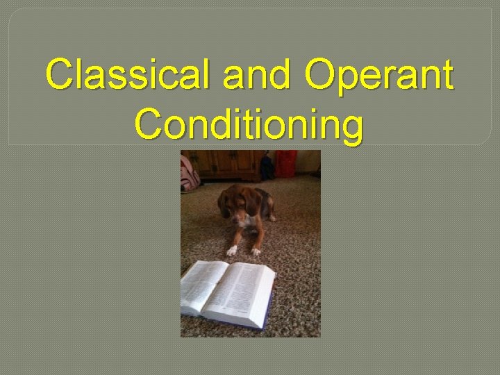 Classical and Operant Conditioning 