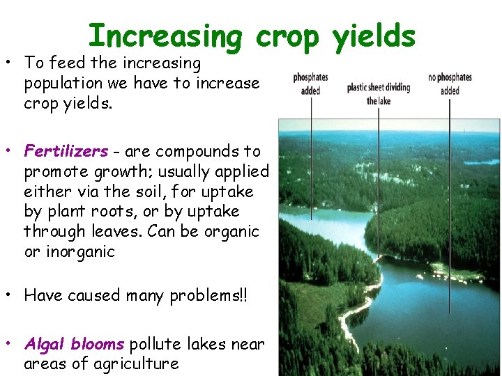  • Increasing crop yields Figure 11. 13 To feed the increasing population we