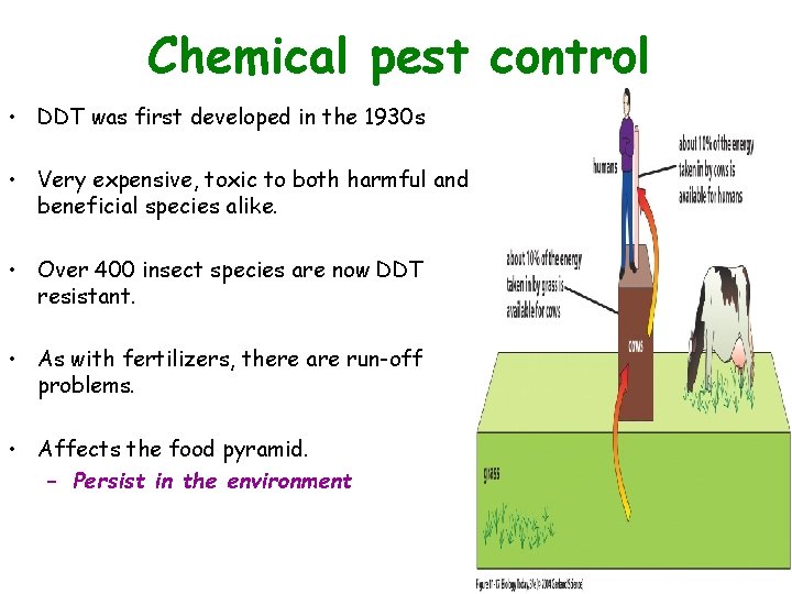 Chemical pest control Figure 11. 17 • DDT was first developed in the 1930