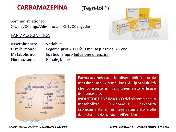 CARBAMAZEPINA (Tegretol ®) Somministrazione: Orale: 200 mgx 2/die fino a 600 -1200 mg/die FARMACOCINETICA