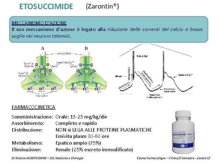 ETOSUCCIMIDE (Zarontin®) MECCANISMO D’AZIONE Il suo meccanismo d’azione è legato alla riduzione delle correnti