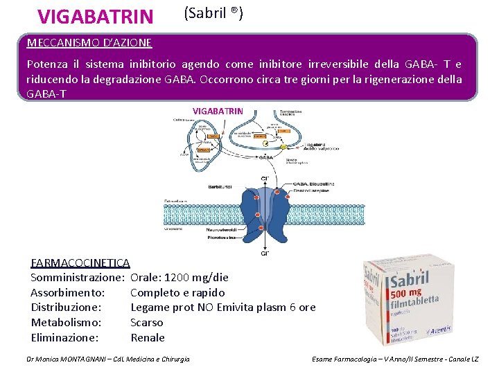VIGABATRIN (Sabril ®) MECCANISMO D’AZIONE Potenza il sistema inibitorio agendo come inibitore irreversibile della