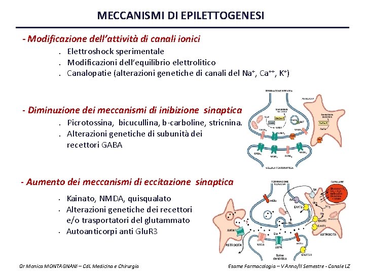 MECCANISMI DI EPILETTOGENESI - Modificazione dell’attività di canali ionici. Elettroshock sperimentale. Modificazioni dell’equilibrio elettrolitico.