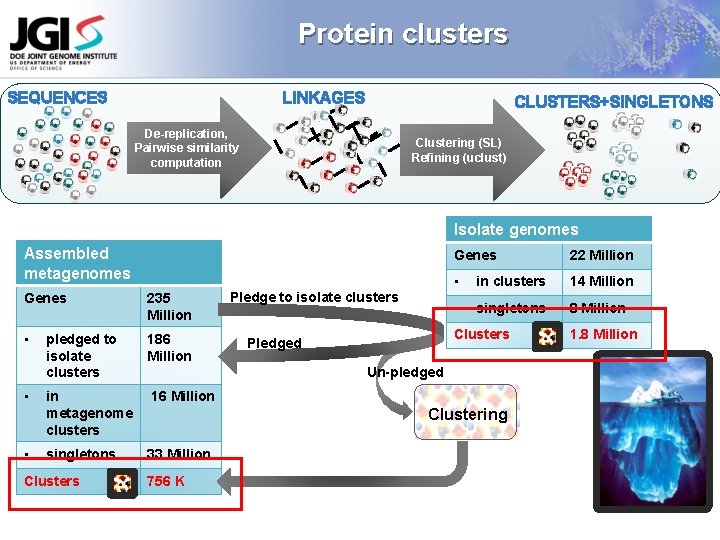 Protein clusters SEQUENCES LINKAGES CLUSTERS+SINGLETONS De-replication, Pairwise similarity computation Clustering (SL) Refining (uclust) Isolate