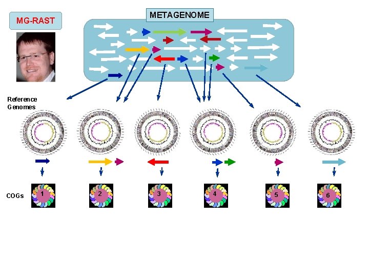 METAGENOME MG-RAST Reference Genomes COGs 1 2 3 4 5 6 