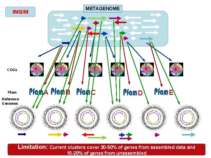 METAGENOME IMG/M 2 1 COGs A Pfam 3 B C 4 5 D 6