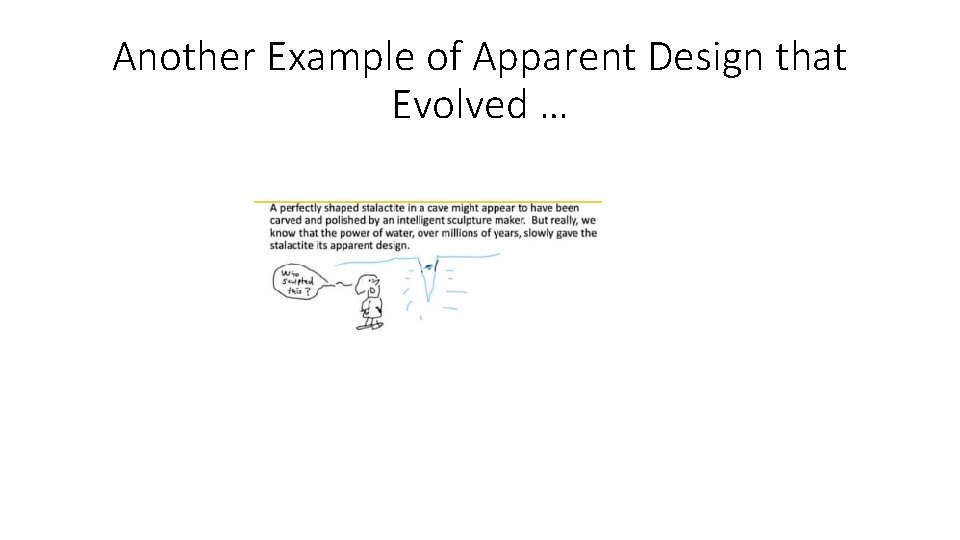 Another Example of Apparent Design that Evolved … 