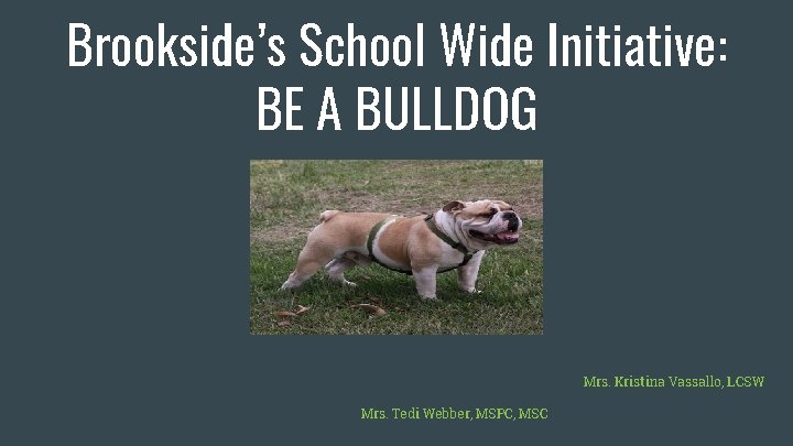 Brookside’s School Wide Initiative: BE A BULLDOG Mrs. Kristina Vassallo, LCSW Mrs. Tedi Webber,