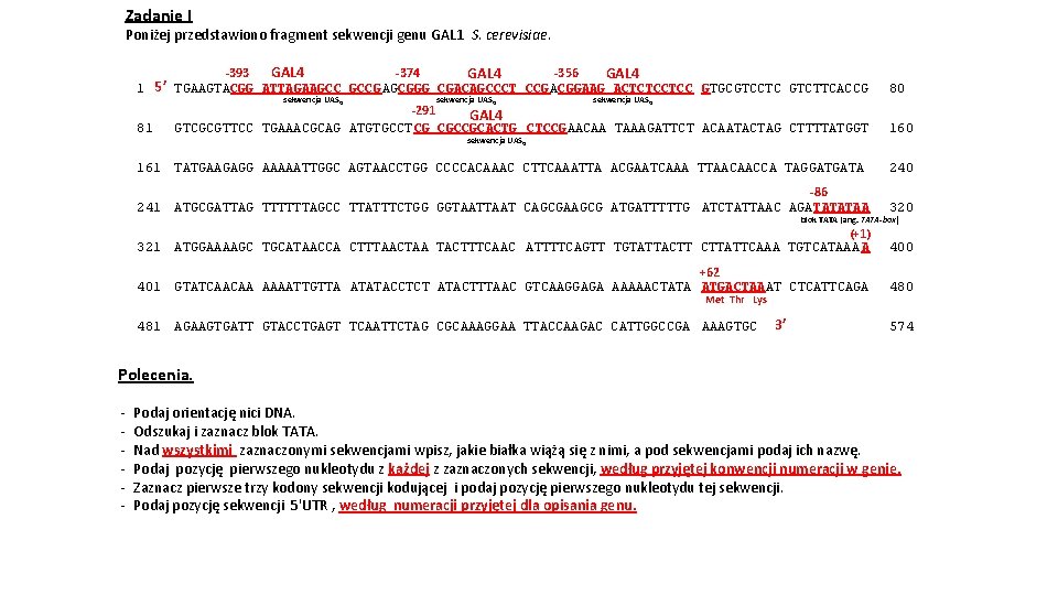 Zadanie I Poniżej przedstawiono fragment sekwencji genu GAL 1 S. cerevisiae. GAL 4 -393