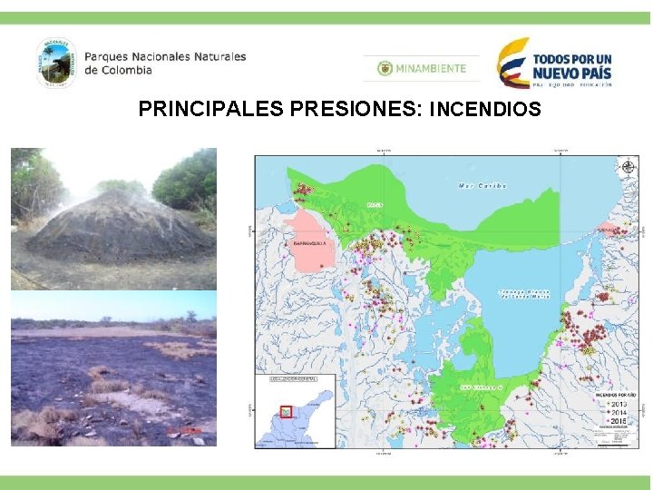 PRINCIPALES PRESIONES: INCENDIOS 