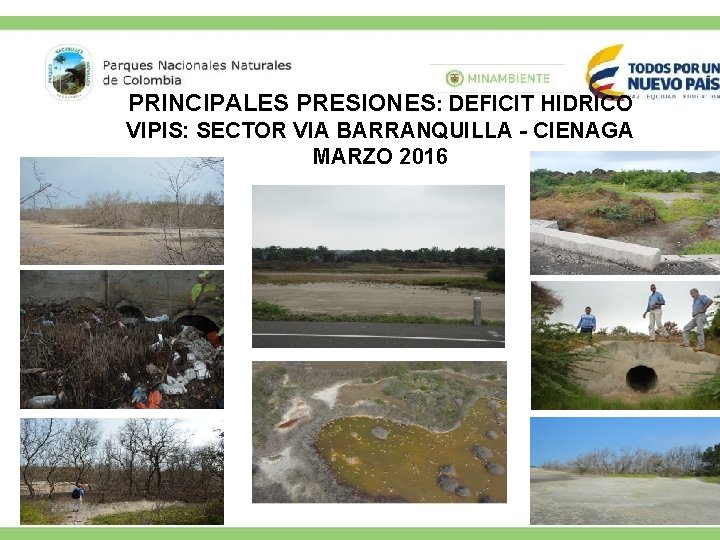 PRINCIPALES PRESIONES: DEFICIT HIDRICO VIPIS: SECTOR VIA BARRANQUILLA - CIENAGA MARZO 2016 