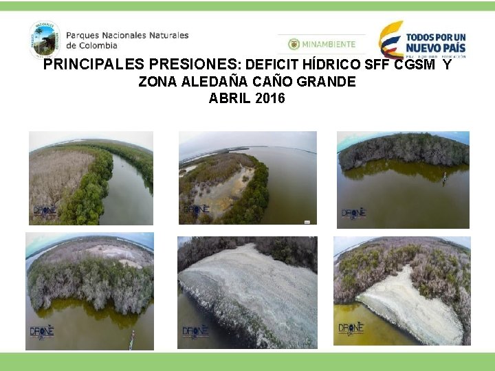 PRINCIPALES PRESIONES: DEFICIT HÍDRICO SFF CGSM Y ZONA ALEDAÑA CAÑO GRANDE ABRIL 2016 