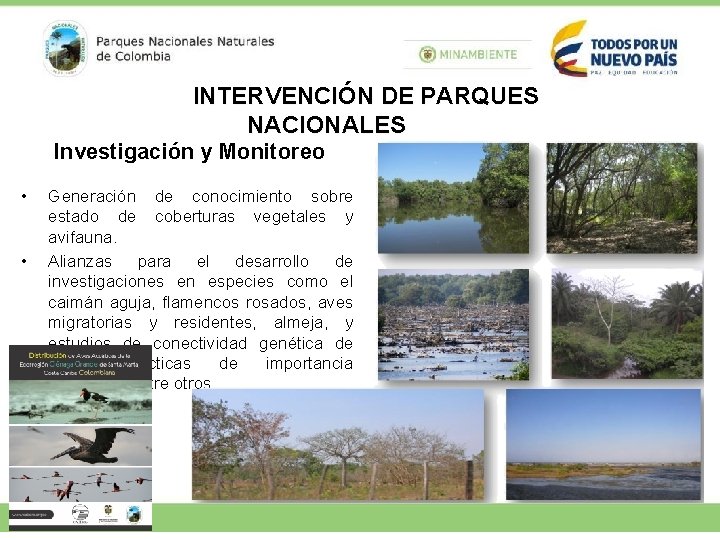 INTERVENCIÓN DE PARQUES NACIONALES Investigación y Monitoreo • • Generación de conocimiento sobre estado