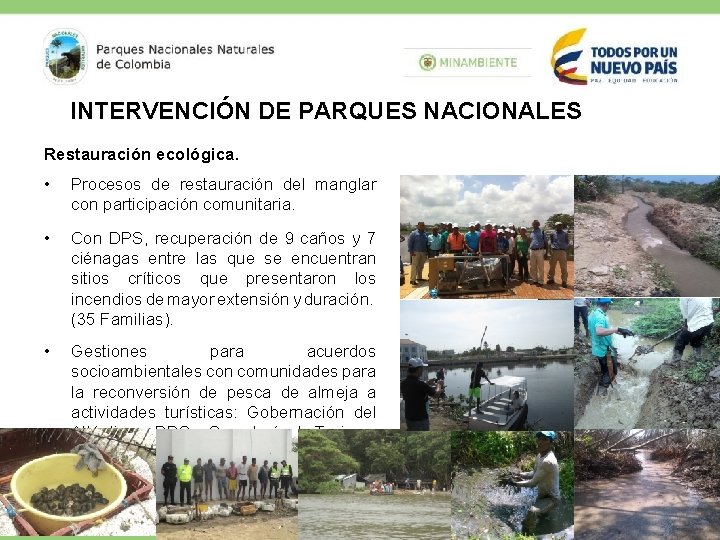 INTERVENCIÓN DE PARQUES NACIONALES Restauración ecológica. • Procesos de restauración del manglar con participación