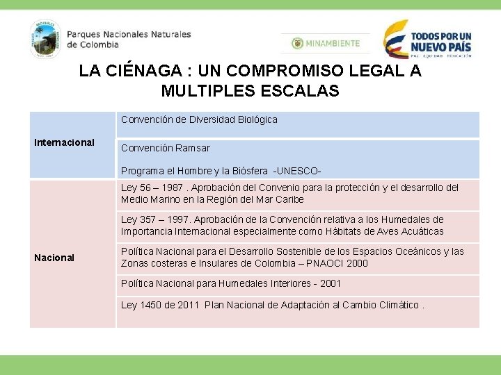 LA CIÉNAGA : UN COMPROMISO LEGAL A MULTIPLES ESCALAS Convención de Diversidad Biológica Internacional