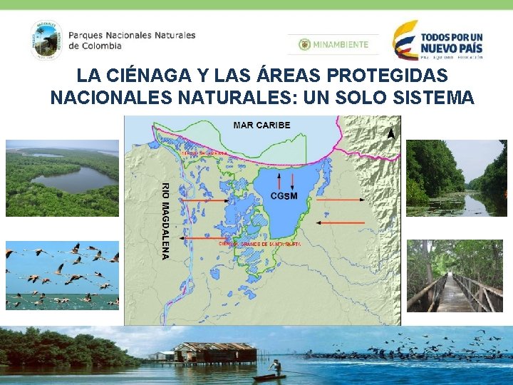 LA CIÉNAGA Y LAS ÁREAS PROTEGIDAS NACIONALES NATURALES: UN SOLO SISTEMA 